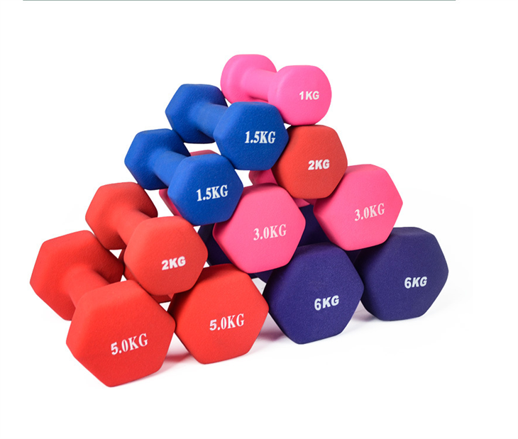 Viny Small Dumbbells Colors Dumbbells Set factory