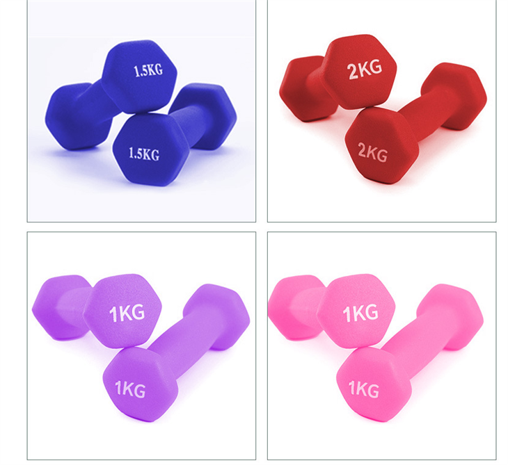 Viny Small Dumbbells Colors Dumbbells Set factory
