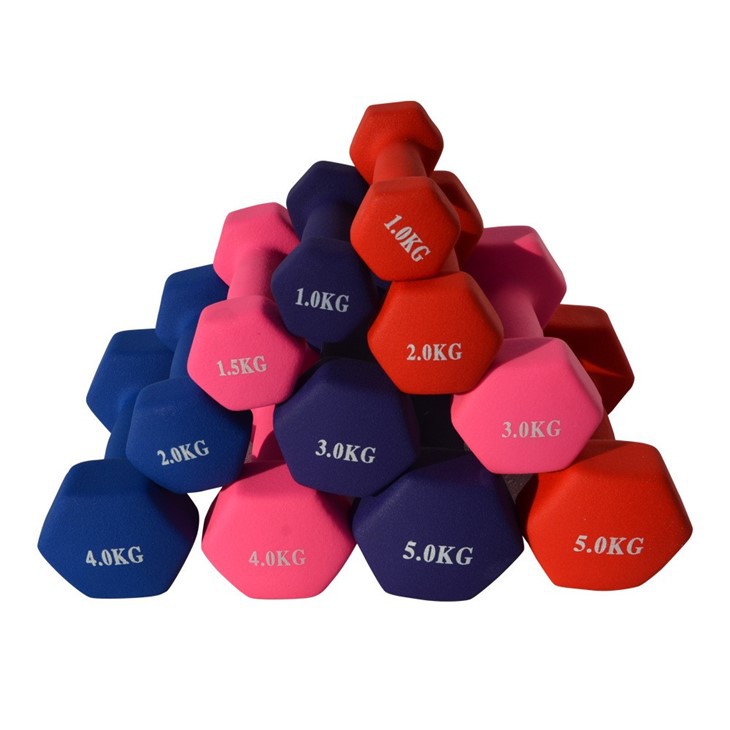 Viny Small Dumbbells Colors Dumbbells Set price