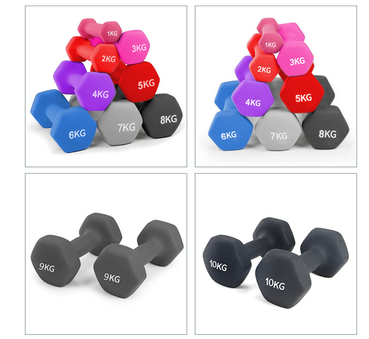 Viny Small Dumbbells Colors Dumbbells Set high quality